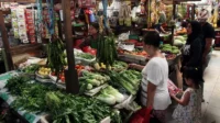 Komoditas Sayur mayur