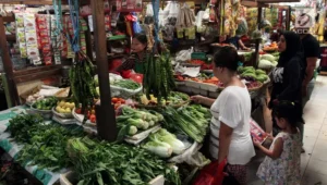 Komoditas Sayur mayur