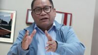 Fary Francis, Anggota/Deputi Bidang Investasi dan Pengusahaan BP Batam