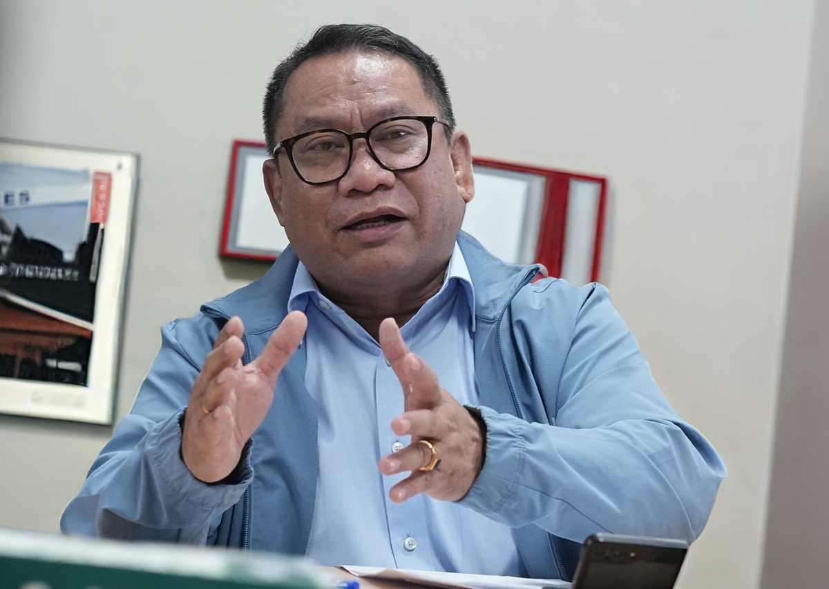 Fary Francis, Anggota/Deputi Bidang Investasi dan Pengusahaan BP Batam
