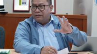 Fary Francis, Anggota/Deputi Bidang Investasi dan Pengusahaan BP Batam
