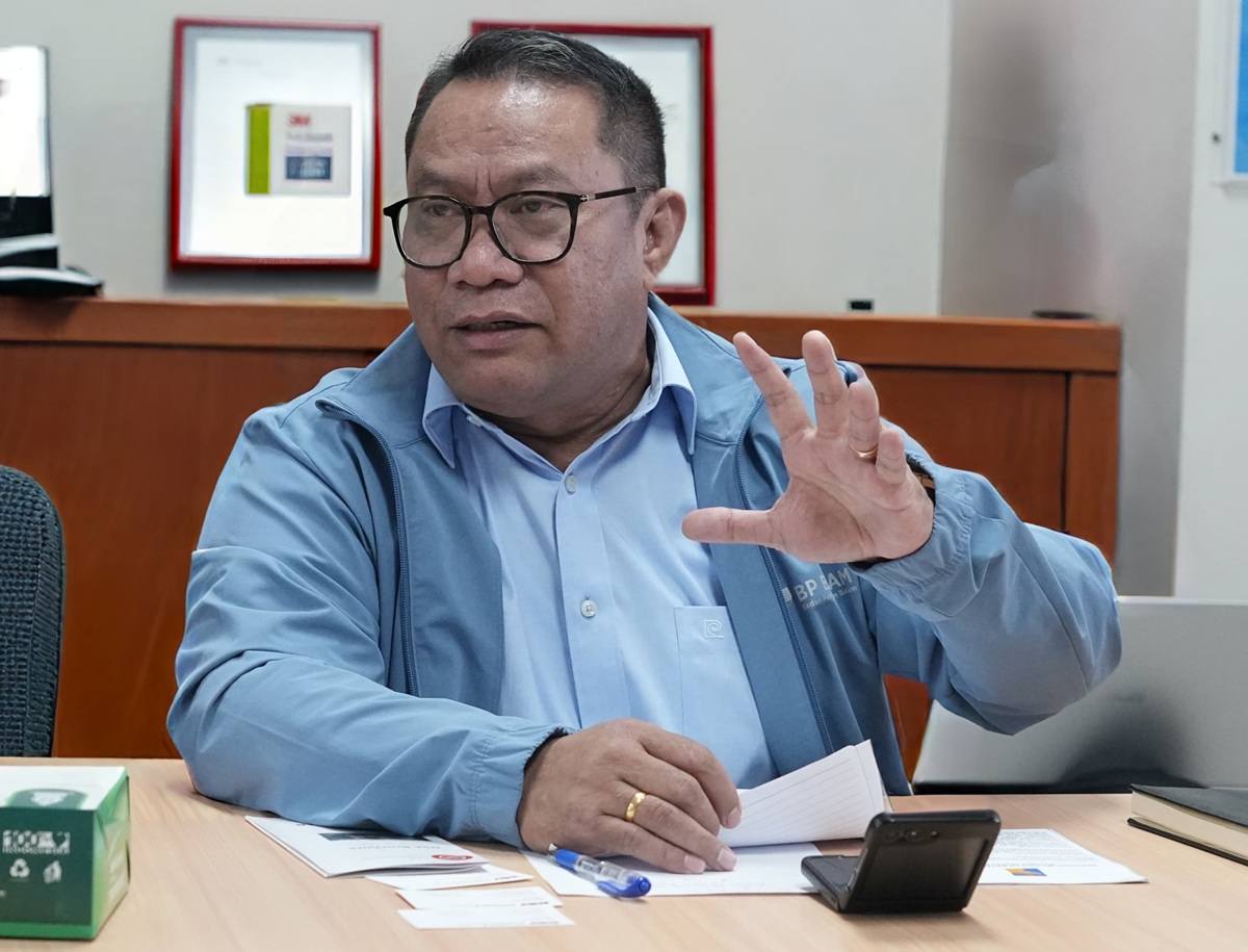 Fary Francis, Anggota/Deputi Bidang Investasi dan Pengusahaan BP Batam