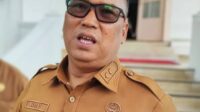 Wakil Gubernur Kepri, Nyanyang Haris Pratamura