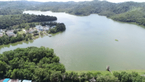 Waduk Sei Harapan 