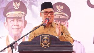 Wakil Gubernur Kepulauan Riau, Nyanyang Haris Pratamura