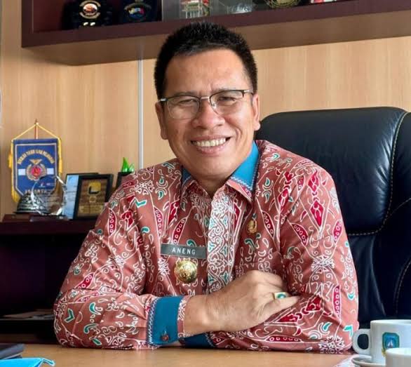 Bupati aNAMBAS, Aneng