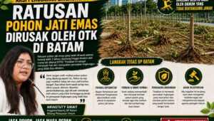 Nb: Foto Pohon Rusak dalam desain grafis adalah ilustrasi dan hasil AI