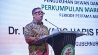 Wakil Gubernur Kepri, Nyanyang Haris Pratamura Wakil Gubernur Kepri, Nyanyang Haris Pratamura